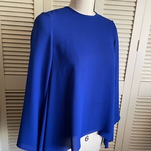 Elegant Royal blue  Blouse by Cos